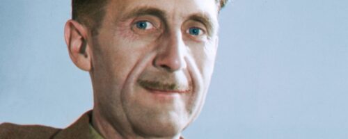 Ropucha w&nbsp;ogródku Kandyda — ilustracja