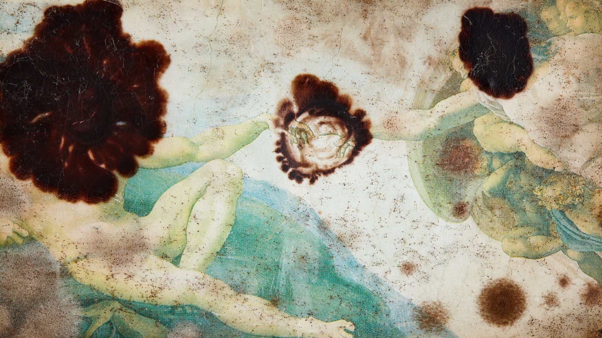 Ćwiczenia z&nbsp;posthumanizmu — ilustracja
