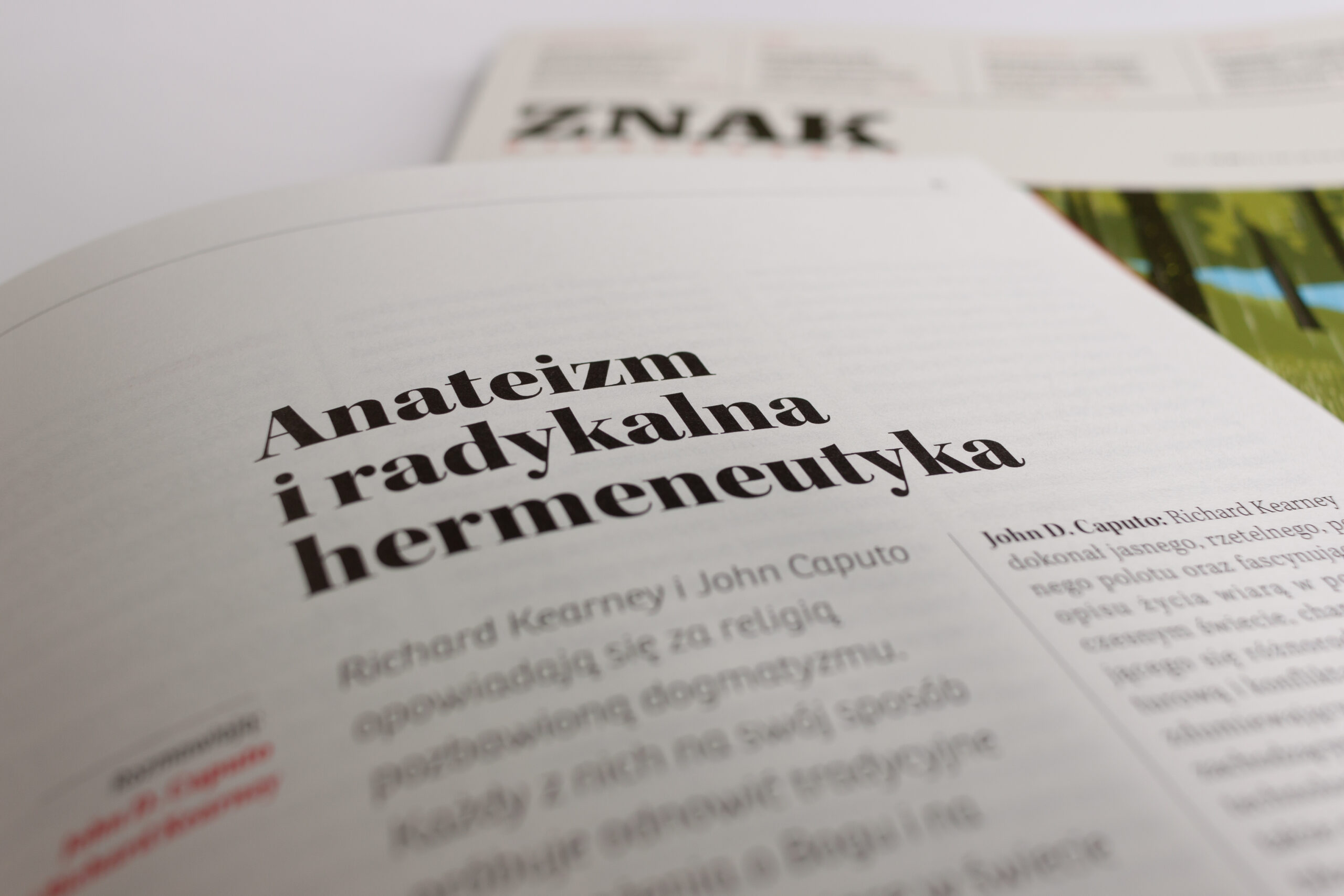 Anateizm i&nbsp;radykalna hermeneutyka — ilustracja