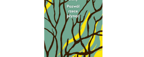 Okruchy miasta (Recenzja książki Pozwól rzece płynąć Michała Cichego) — ilustracja