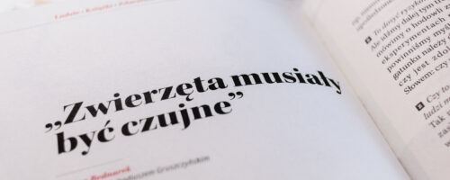 „Zwierzęta musiały być czujne” — ilustracja