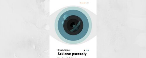 Niebezpieczna perfekcja — ilustracja