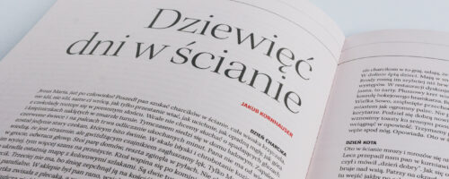 Dziewięć dni w&nbsp;ścianie — ilustracja