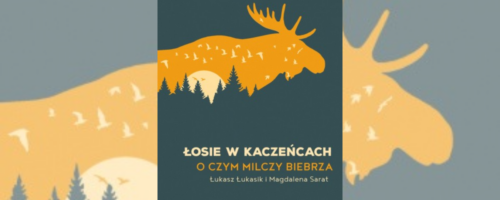 W&nbsp;pogoni za&nbsp;ostrością — ilustracja