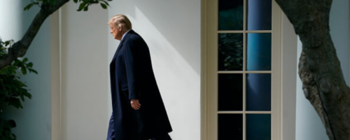 Trumpizm zmienił obywateli w&nbsp;kibiców — ilustracja