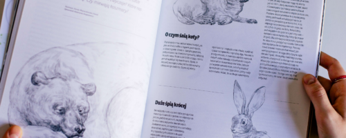 Nie opowiedzą nam swoich snów — ilustracja