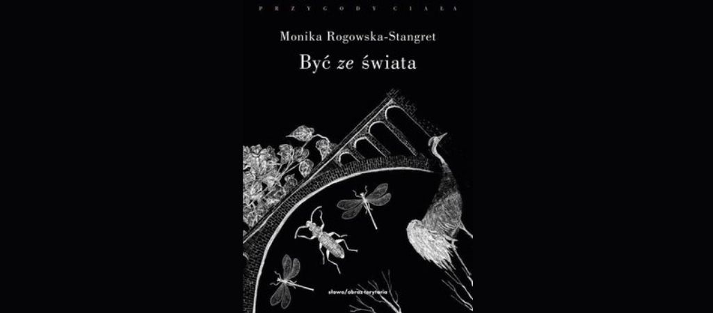 Propozycja nowej etyki — ilustracja