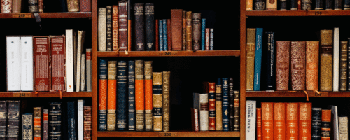 Biblioteczne baśnie — ilustracja