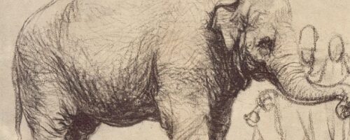 Hansken i&nbsp;Clara — ilustracja