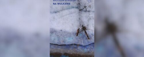 fot. Wydawnictwo Drzazgi