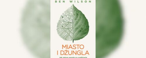 Naturokultura — ilustracja