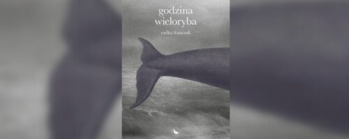 W&nbsp;jednym kawałku — ilustracja