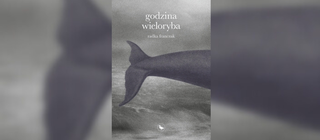 W&nbsp;jednym kawałku — ilustracja