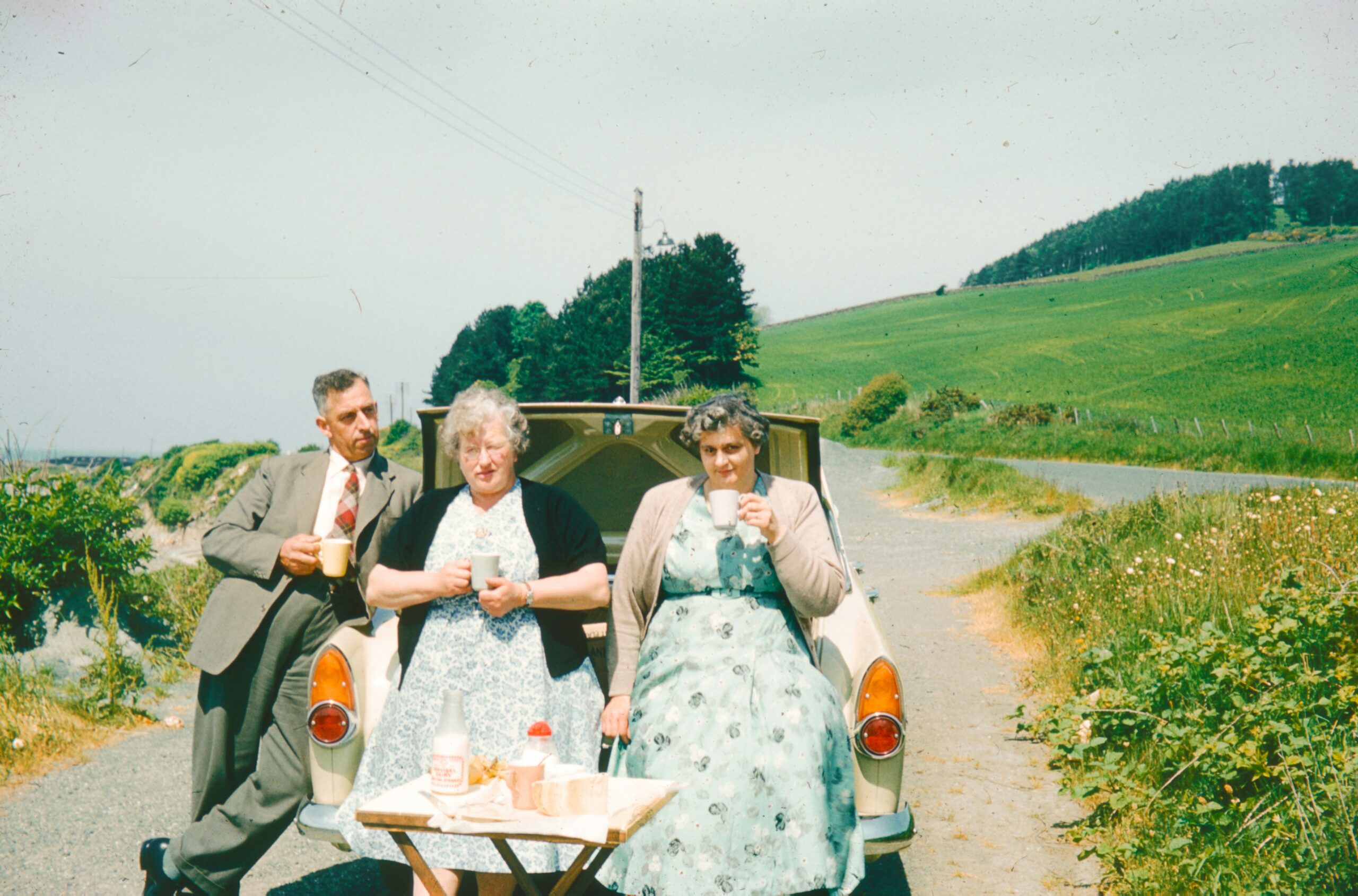 Three people enjoy a picnic next to a car