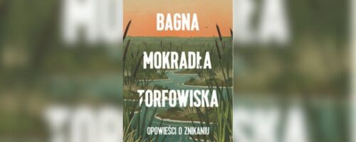 Podmokły wszechświat — ilustracja