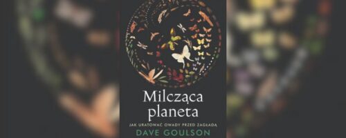 Jeszcze nie jest za&nbsp;późno — ilustracja